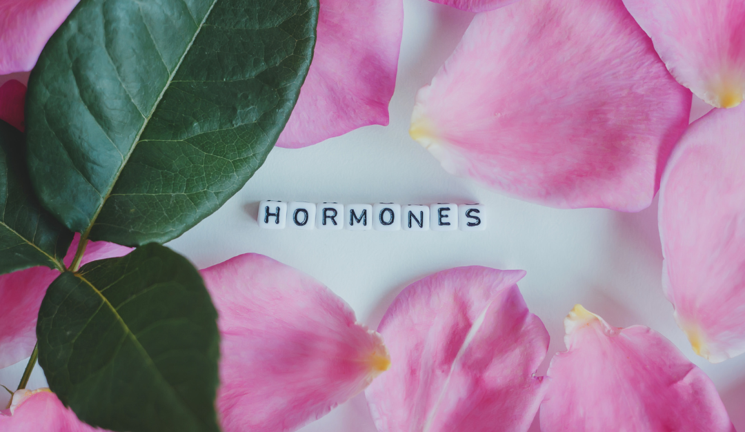 Finding Balance: Bioidentical Hormone Therapy